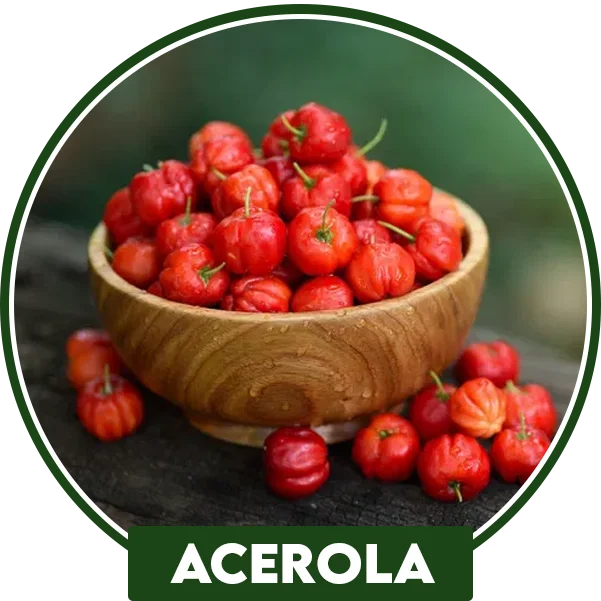acerola