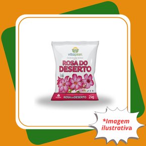 rosa do deserto 2 kilos