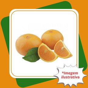 laranja bahia monte parnaso