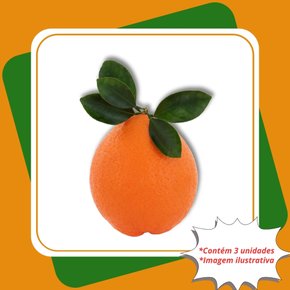 kit 3 mudas laranja valencia