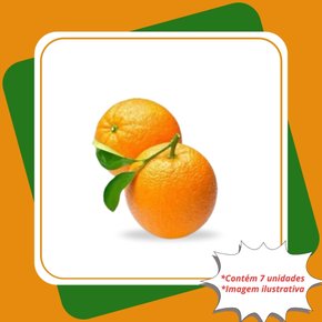 kit 7 mudas laranja baianinha