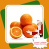 kit 7 mudas laranja natal