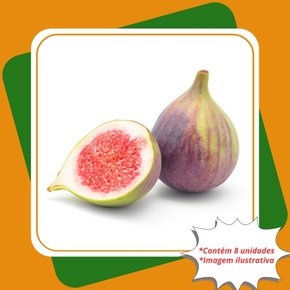 kit 8 mudas figo roxo de valinhos