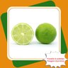 kit 8 mudas limao citrumelo