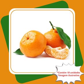 kit 10 mudas tangerina pokan