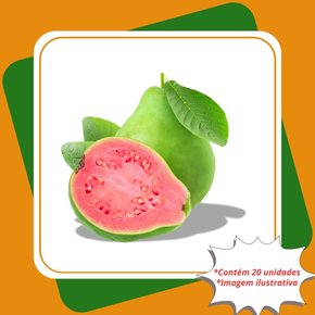 kit 20 goiaba tailandesa