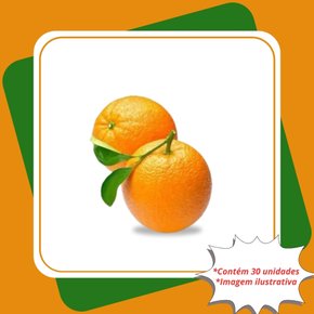 kit 30 mudas laranja baianinha