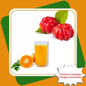 kit mudas 3 laranja bahia 3 pitanga