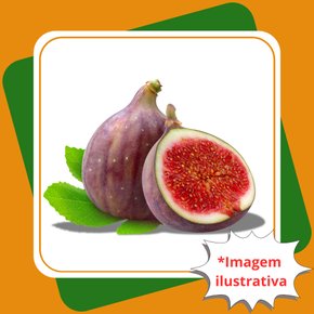 figo roxo