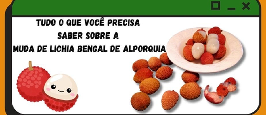 Tudo o que você precisa saber sobre muda de Lichia Bengal Alporquia Tudo o que você precisa saber sobre muda de Lichia Bengal Alporquia