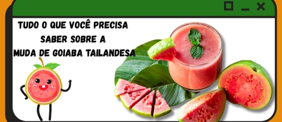 Tudo o que você precisa saber sobre Muda de Goiaba Tailandesa