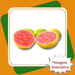 goiaba vermelha comum