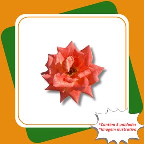 kit 5 rosas laranjada