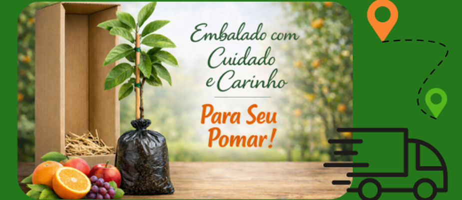 🌿 Como é separado e enviado o seu pedido
