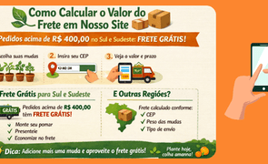 calcular frete no site calcular frete no site