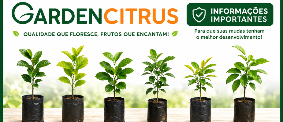 Informações Importantes sobre manuseio das mudas
